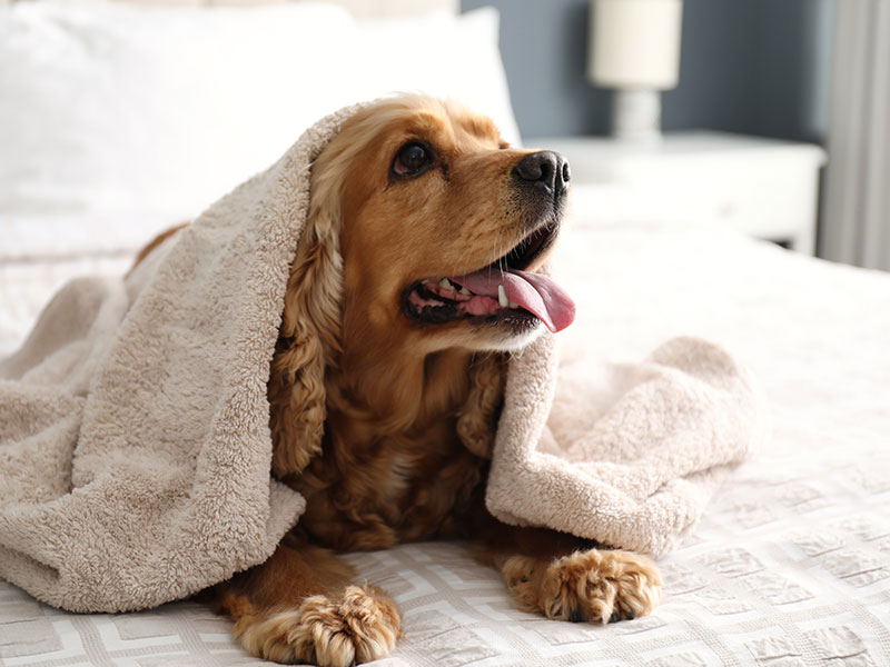 Services and Amenities Urban Boutique Hotel